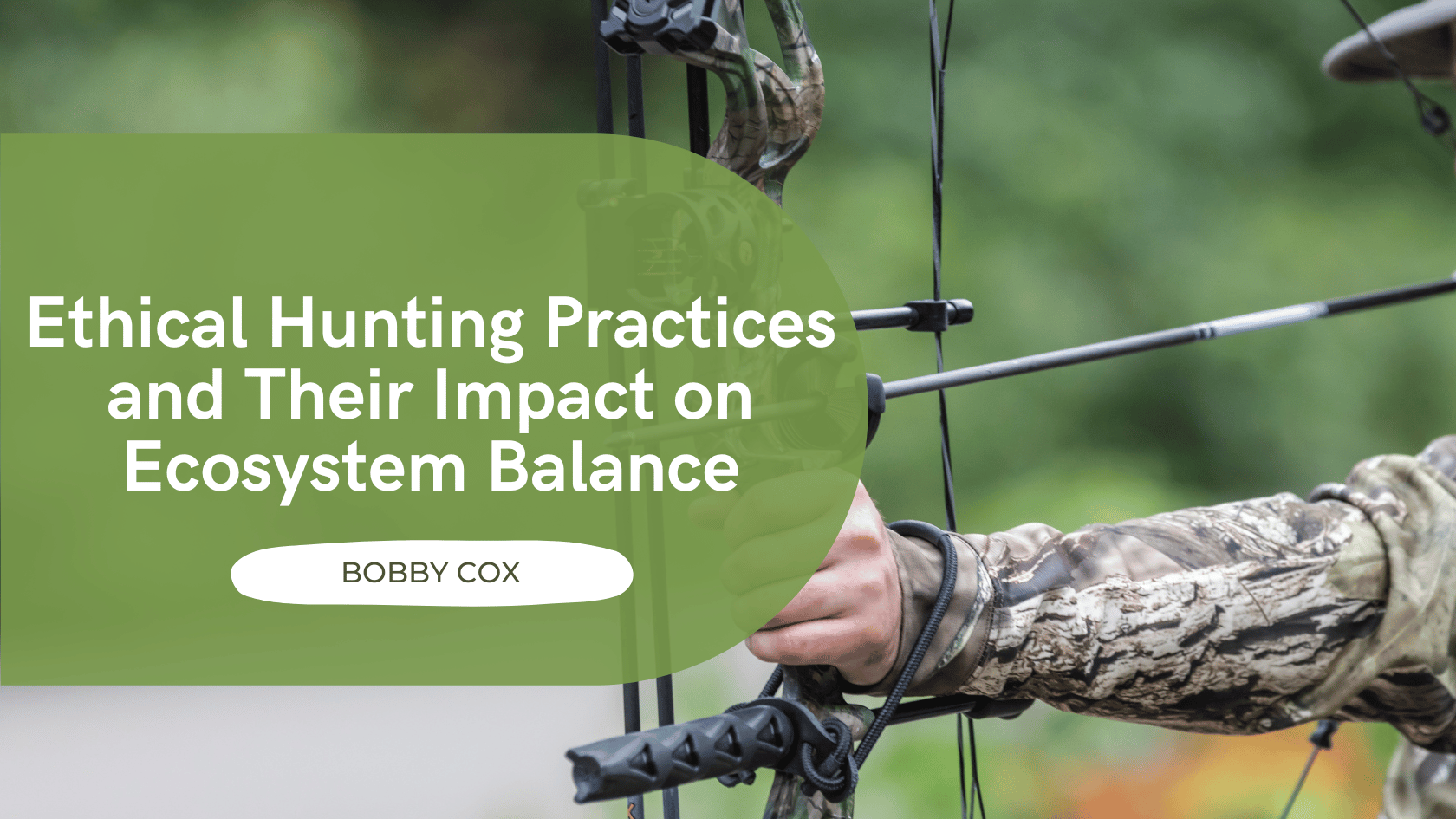 Ethical Hunting Practices and Their Impact on Ecosystem Balance